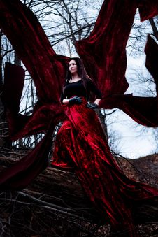 Mysterious Woman Or Witch In Long Red Dress Standing In Dark Forest With Flying Fabric Royalty Free Stock Images Mysterious Woman Or Witch In Long Red Dress Standing In Dark Forest With Flying Fabric Royalty Free Stock Images
