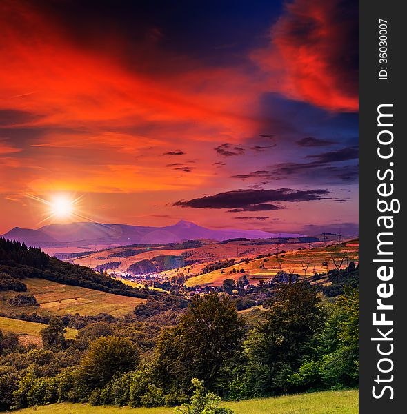 Coniferous forest on a mountain slope