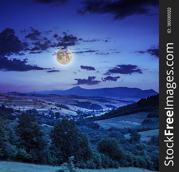 Coniferous forest on a steep mountain slope at night. Coniferous forest on a steep mountain slope at night