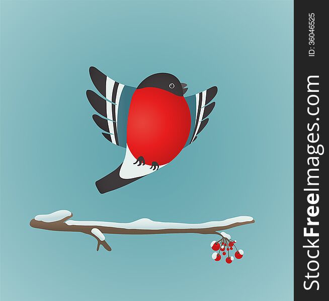 Bird illustration with berries. Vector EPS8 drawing. Bird illustration with berries. Vector EPS8 drawing.