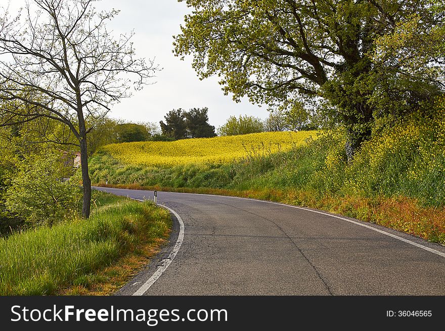 Turn mountain road among the green trees in the mountains of Italy. Turn mountain road among the green trees in the mountains of Italy