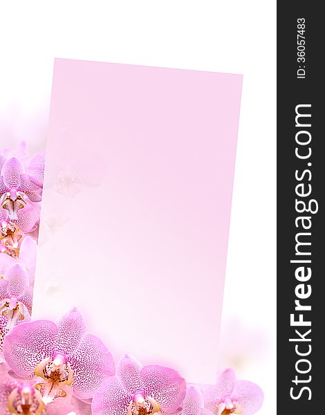 Blank paper between beautiful pink orchid flowers. Blank paper between beautiful pink orchid flowers
