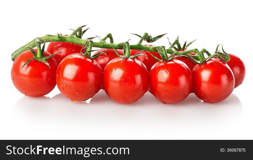 Branch of tomatoes isolated on a white background