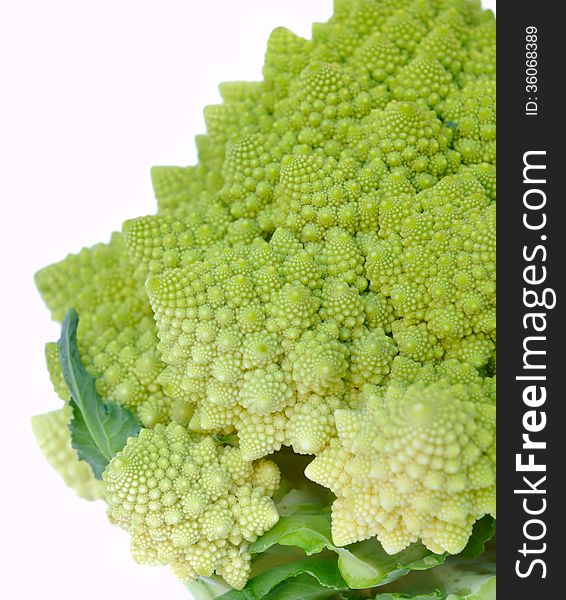 Close on the head of Romanesco cabbage on white background