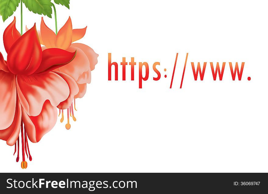 Red flowers background with blank letter http / / www.