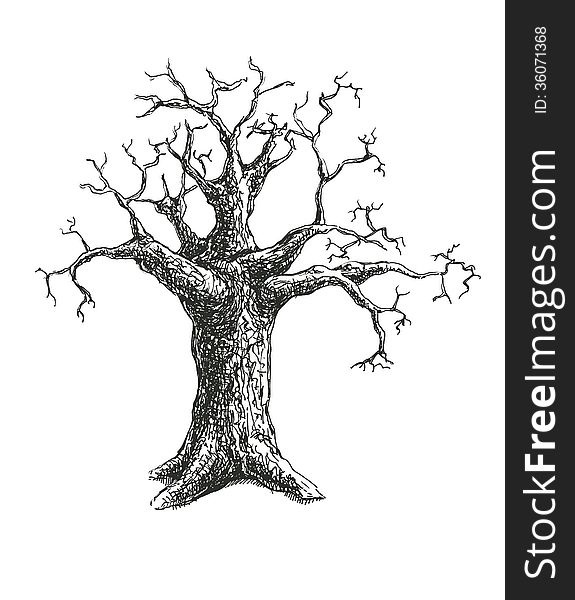 Tree vector illustration design. eps8