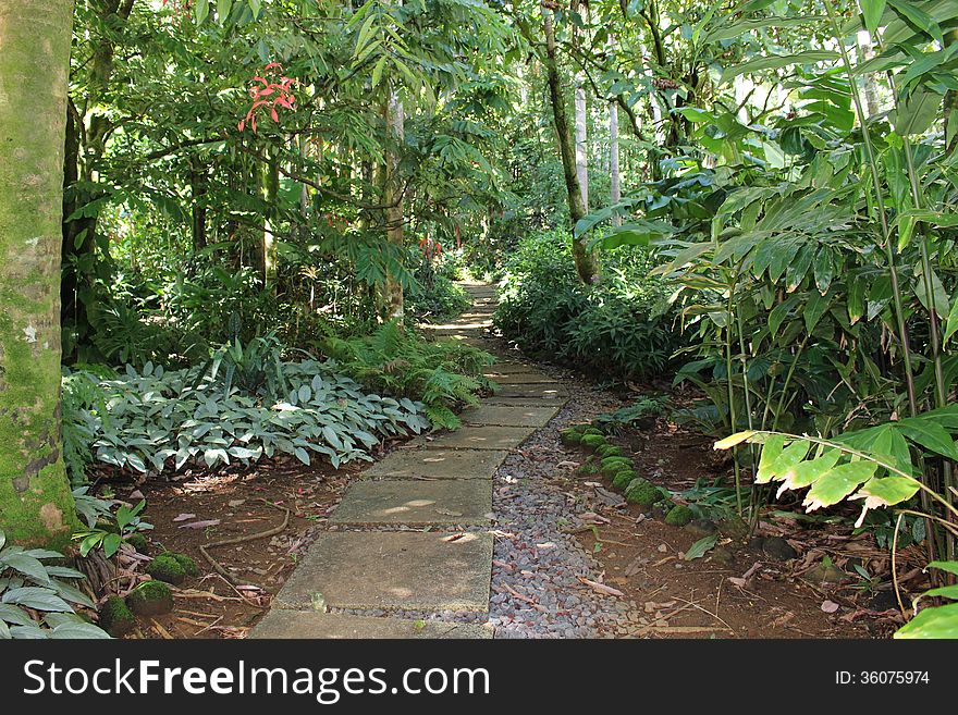 Concrete pathway in the Botanical Garden, Hawaii. Concrete pathway in the Botanical Garden, Hawaii.