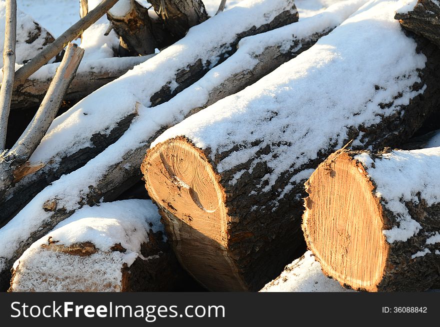 piles of logs in the snow