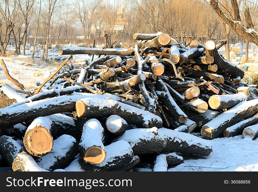 logs piled in a park in winter snow