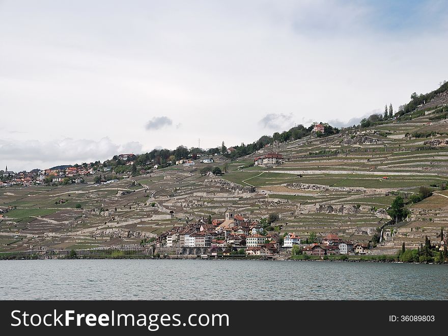 A View Of The Village From The Vine Terraces