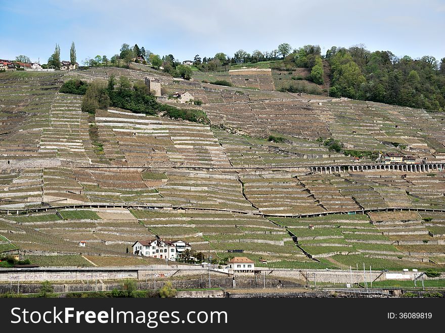 A view of the village from the vine terraces, Switzerland.