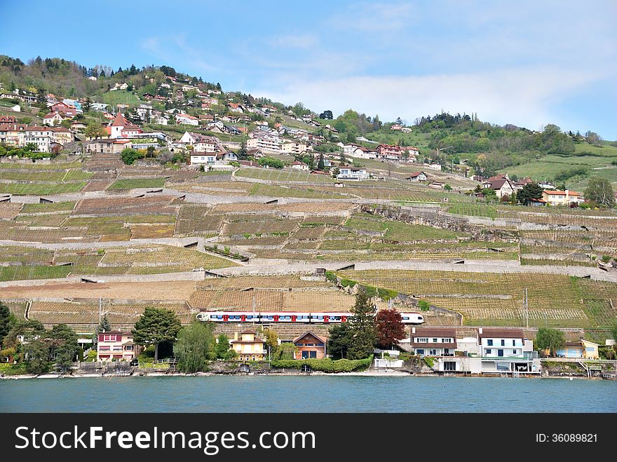 A view of the village from the vine terraces, Switzerland.