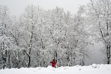 Fresh Snow Stock Image Fresh Snow Stock Image