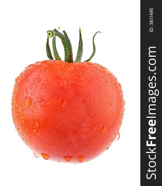 Studio Shot Tomatos, Isolated On White with Clipping Path