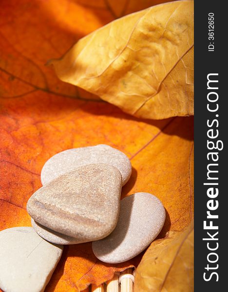 Five flat stones over autumn leaves. Five flat stones over autumn leaves