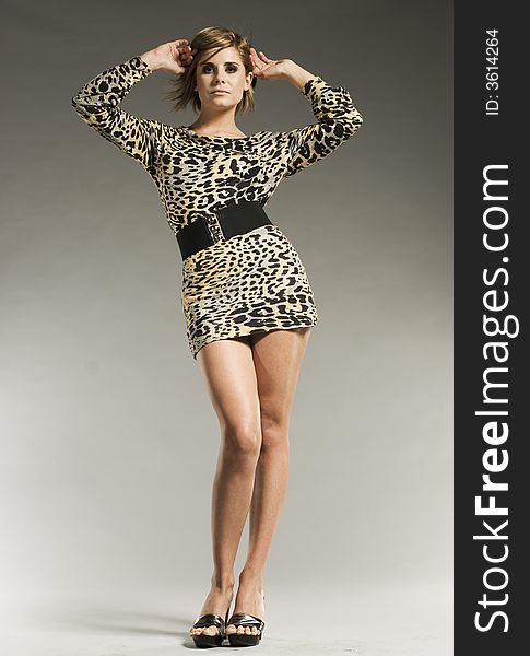 Baeutiful blond model in leopard skin pattern dress posing on grey background. Baeutiful blond model in leopard skin pattern dress posing on grey background