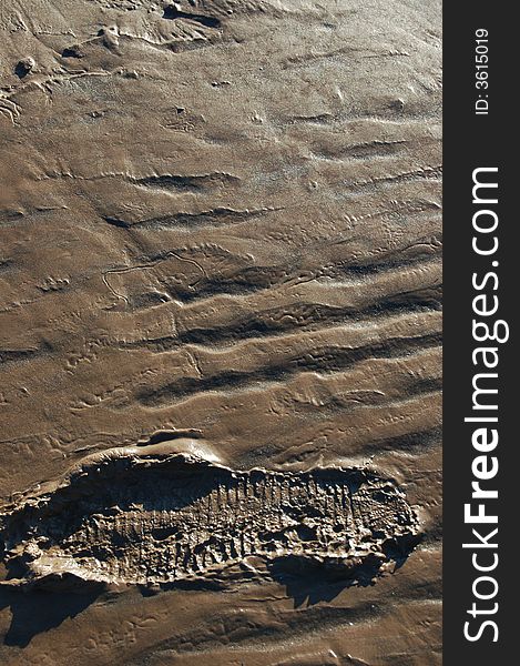 Footprint In Mud