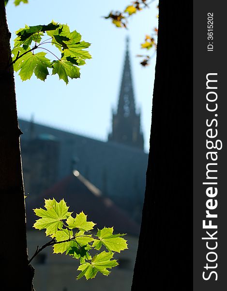 Prague castle from surrounding gardens, Czech Republic