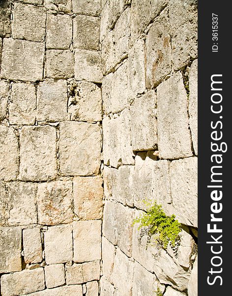 Old brick walls from the ruinsin Chichen Itza Mexico. Old brick walls from the ruinsin Chichen Itza Mexico