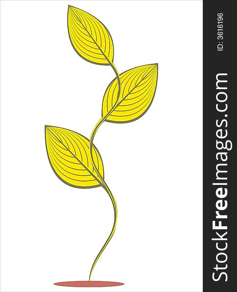 Gold Plant (vector)