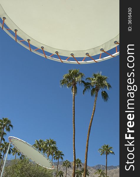 Two Palm trees and two umbrellas in desert resort setting. Two Palm trees and two umbrellas in desert resort setting