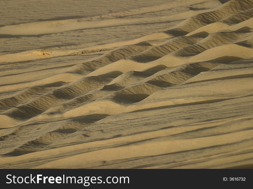 Sand in Egyptian desert, with tracks of tires