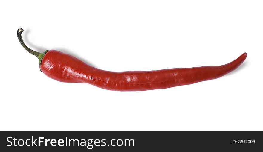 One red chilly pepper isolated in white