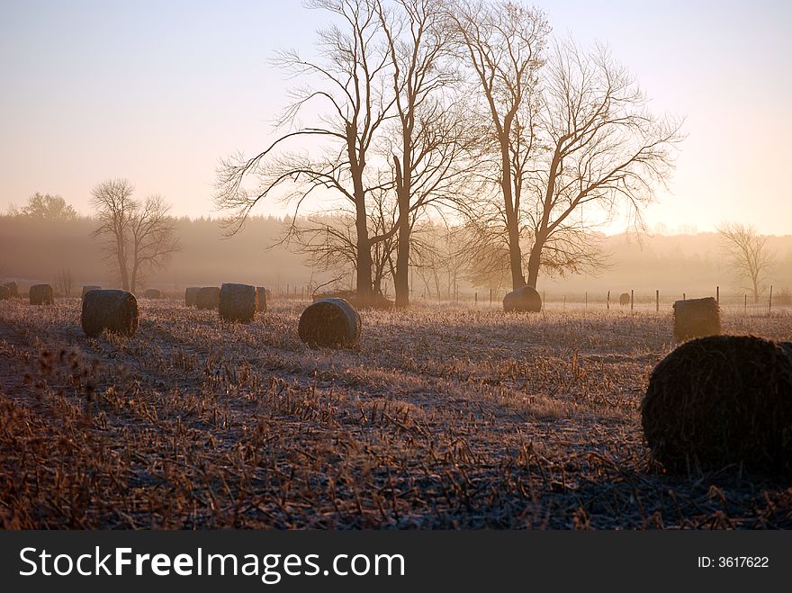 Hay bales lit by the morning sun through the mist. Hay bales lit by the morning sun through the mist.