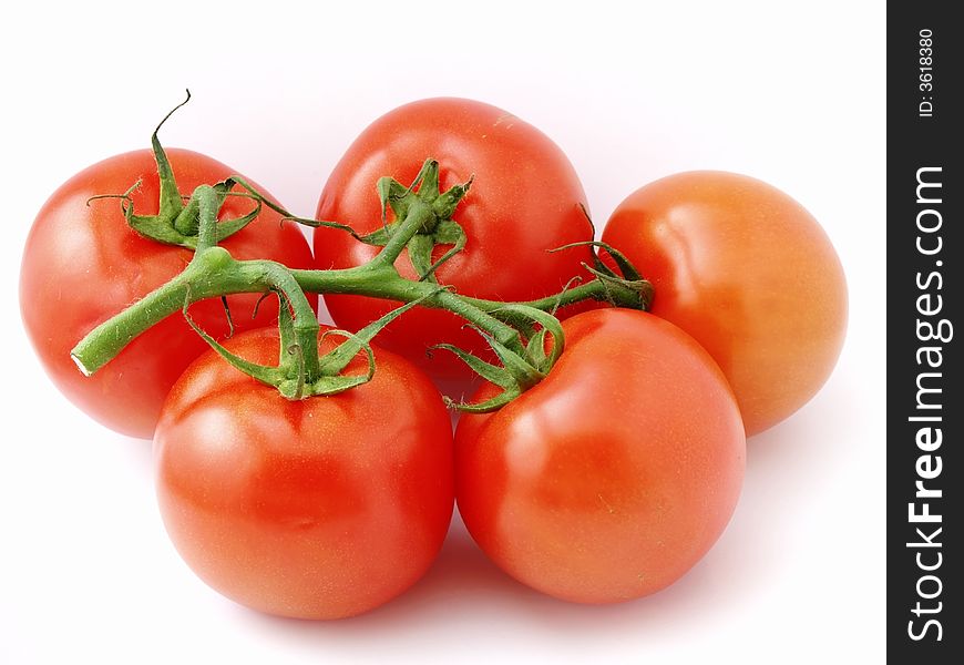 The Bunch Of Tomatoes