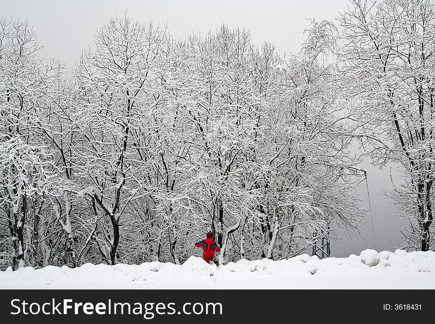 A young child in winter clothes playing in the snow. A young child in winter clothes playing in the snow