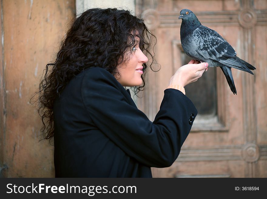 Pigeon sitting in woman hand. Pigeon sitting in woman hand