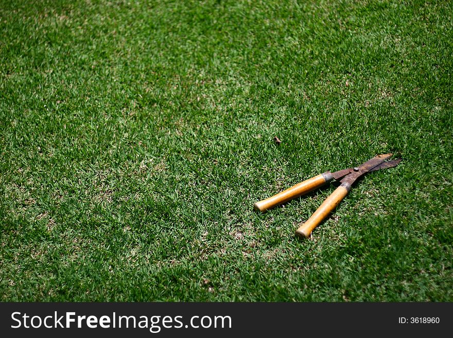 Another photo of a garden shears