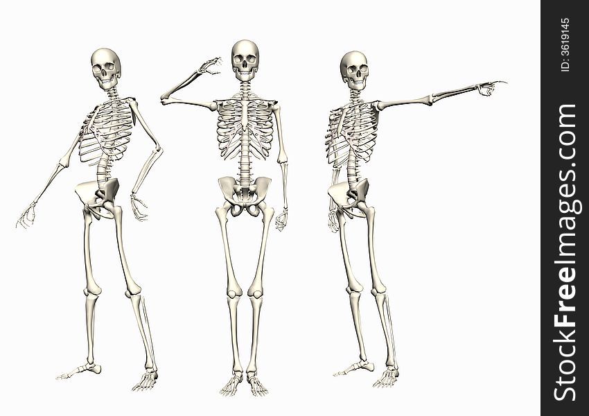 3 Skeletons