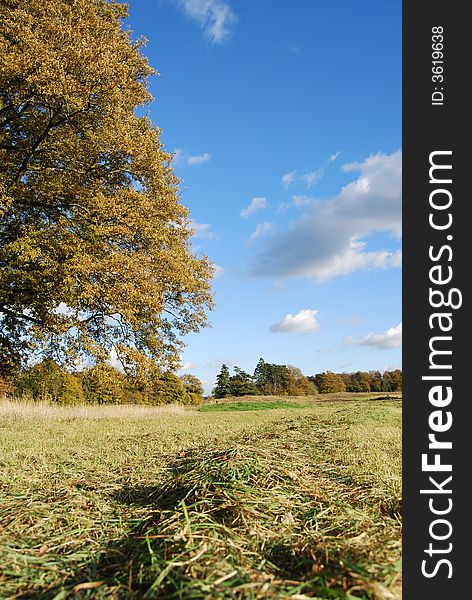 Field landscape showing freshly cut grass