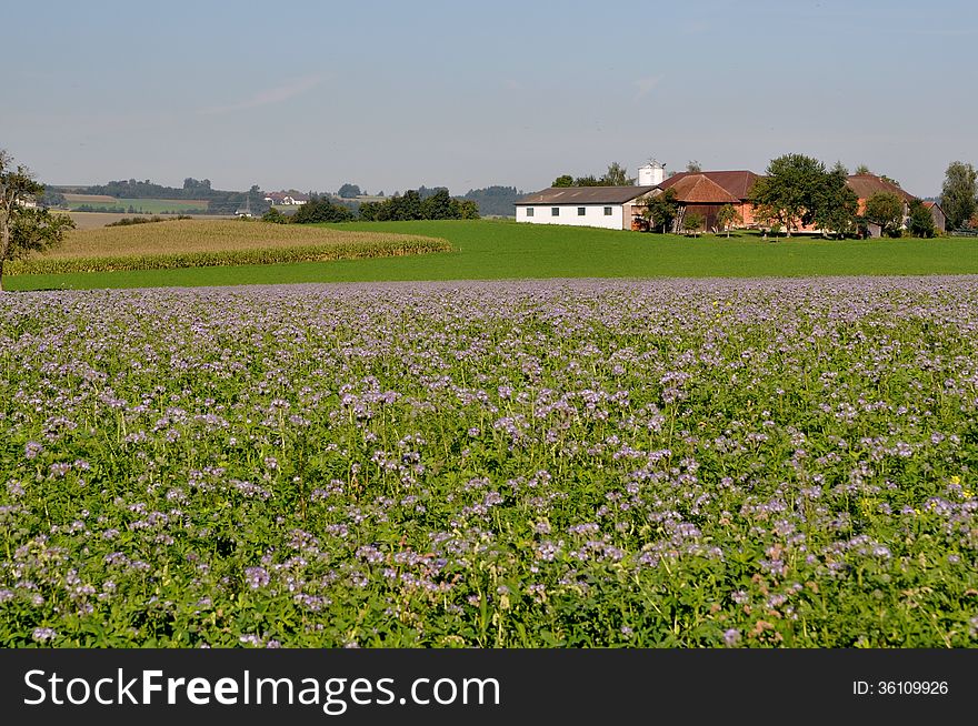 Agricultural fields in Steyr Land. Austria