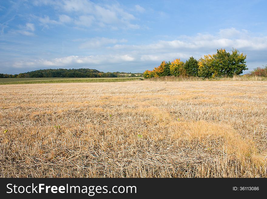 Harvested Field