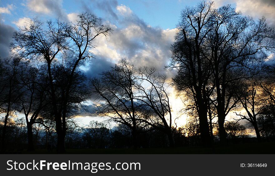 Silhouettes of leafless trees in back light in front of an impressive sky. Silhouettes of leafless trees in back light in front of an impressive sky