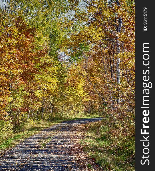 Narrow road winds through colorful autumn foliage. Narrow road winds through colorful autumn foliage.