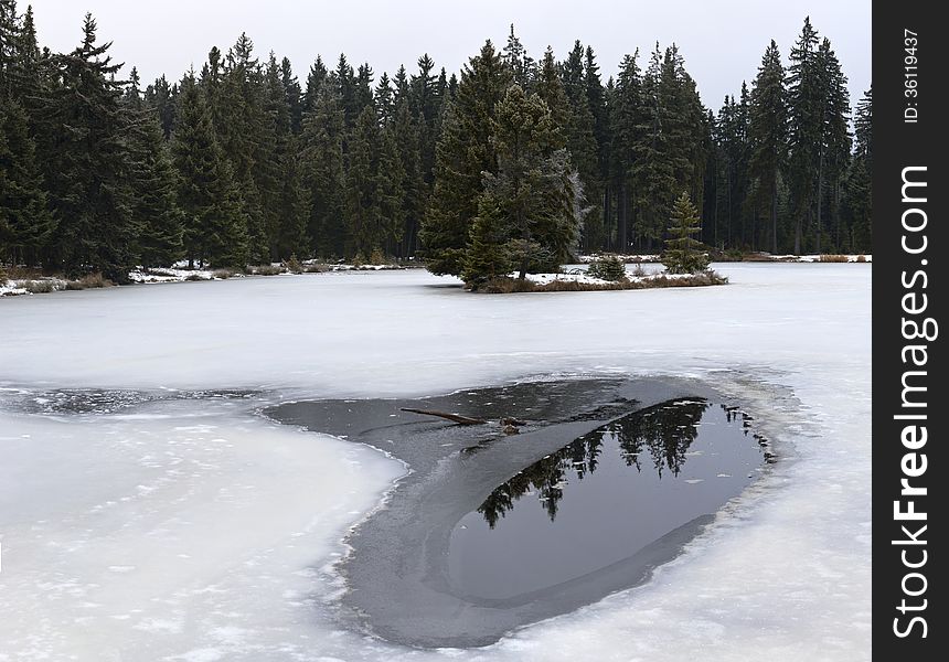 The winter landscape with a pond and a forest. The winter landscape with a pond and a forest
