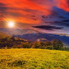 Forest On A Steep Mountain Slope Royalty Free Stock Images Forest On A Steep Mountain Slope Royalty Free Stock Images