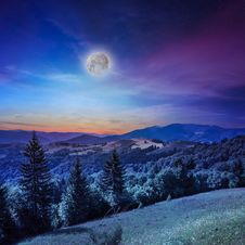 Forest On A Steep Mountain Slope Stock Photo Forest On A Steep Mountain Slope Stock Photo