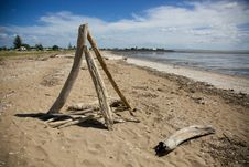 Drift Wood On The Beach. Royalty Free Stock Photography Drift Wood On The Beach. Royalty Free Stock Photography