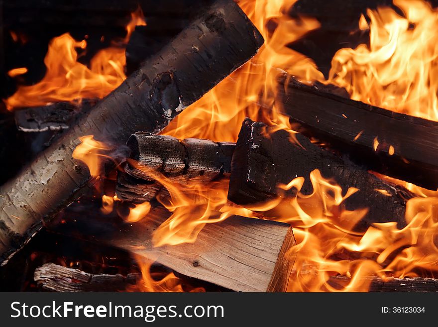 Birch firewood in the fire of the flame. Birch firewood in the fire of the flame