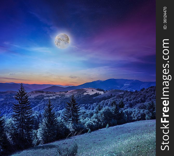 Valley near forest on a steep mountain slope after the rain after sunset