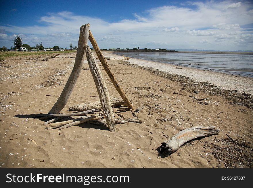 Drift wood on a beach in the Coromandel, New Zealand - travel and tourism. Drift wood on a beach in the Coromandel, New Zealand - travel and tourism.