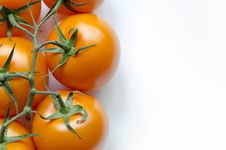 Tomatoes On White Royalty Free Stock Photography Tomatoes On White Royalty Free Stock Photography