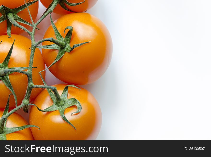 Fresh juicy orange tomatoes branch on white background. Fresh juicy orange tomatoes branch on white background