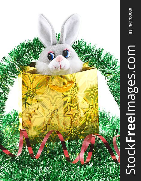 Christmas Card With A Hare