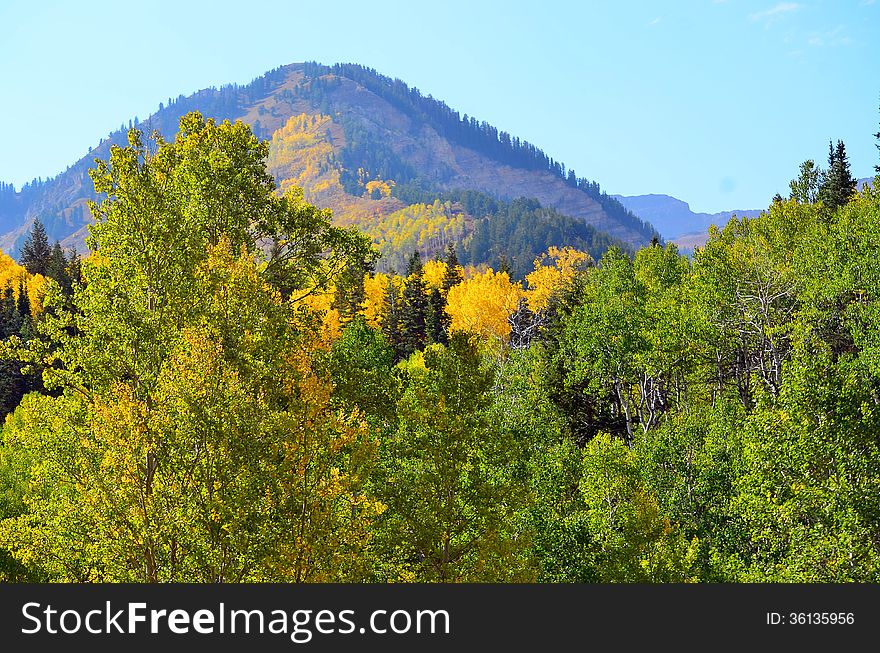Fall colors frame a mountain scene near Provo, Utah. Fall colors frame a mountain scene near Provo, Utah.