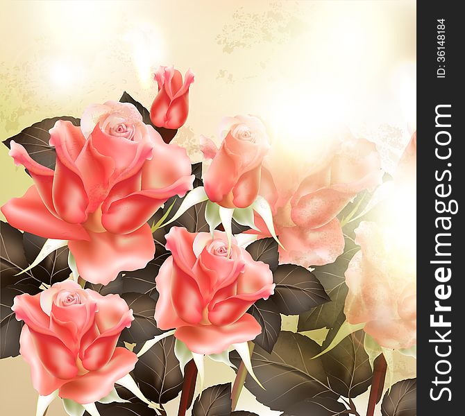 Vector outdoor background with roses and light. Vector outdoor background with roses and light